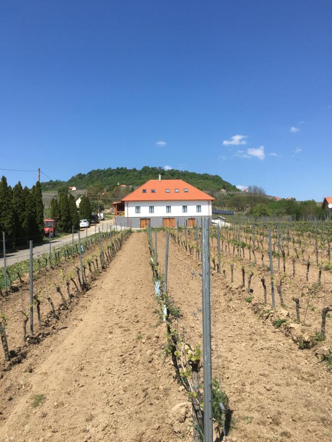 Somló Kolonics Kúria Hotel Somlovasarhely Kültér fotó
