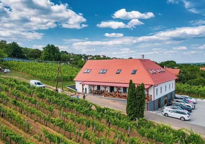 Somló Kolonics Kúria Hotel Somlovasarhely Kültér fotó