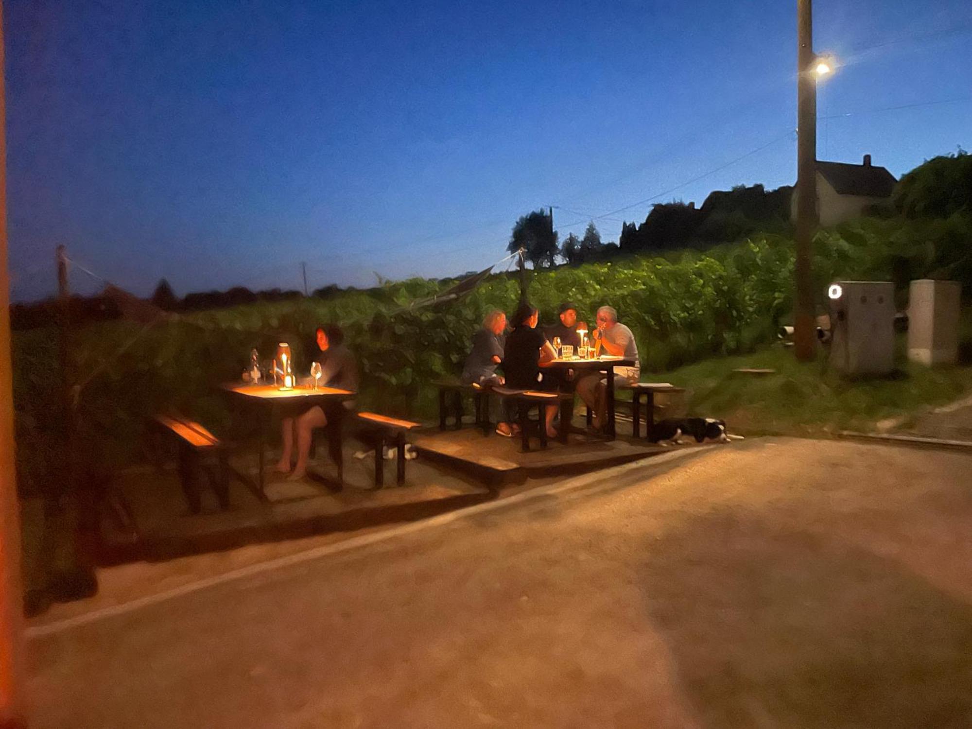 Somló Kolonics Kúria Hotel Somlovasarhely Kültér fotó