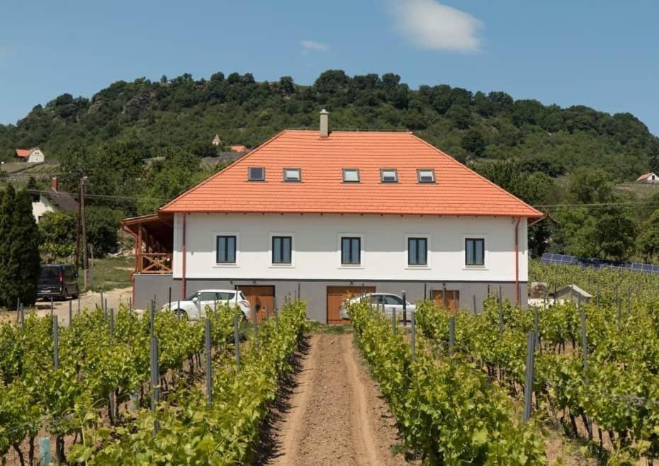 Somló Kolonics Kúria Hotel Somlovasarhely Kültér fotó